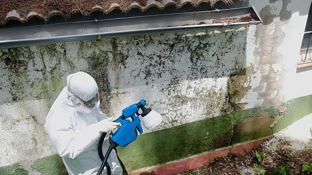 Top rated local Commercial Mold Remediation specialists in Darien, IL
